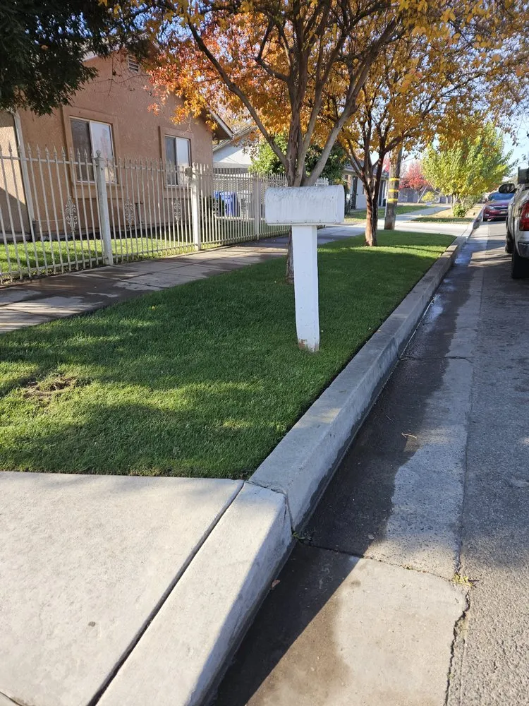 Reliable landscaping services experts serving Madera, CA - Sanchez Lawn and Gardening Service