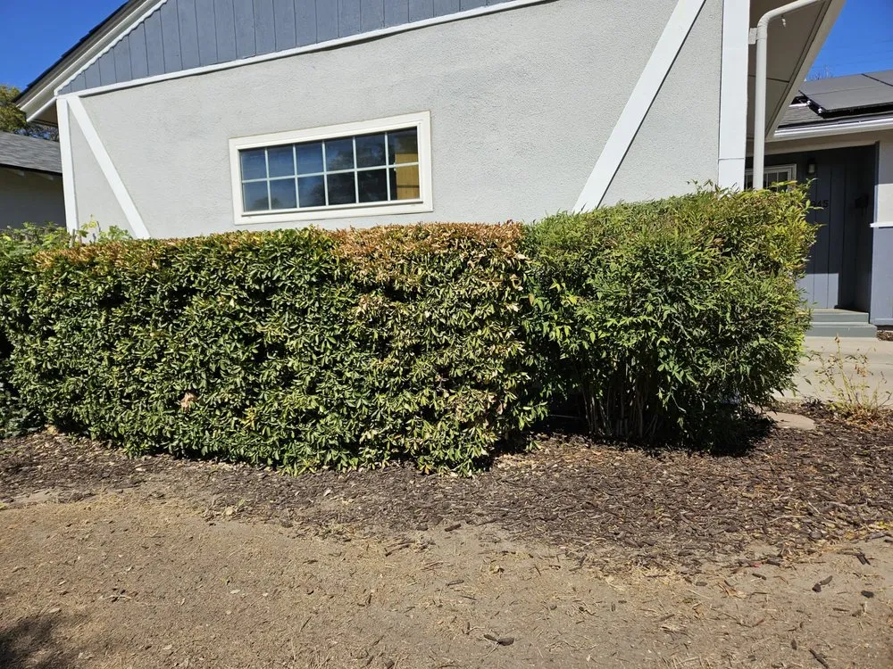 Top-rated outdoor landscaping for beautiful yards in Madera, CA by Sanchez Lawn and Gardening Service