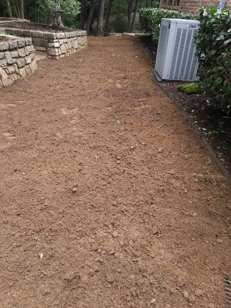 Trusted yard cleanup service in Lewisville, TX by Sanchez Lawn Service