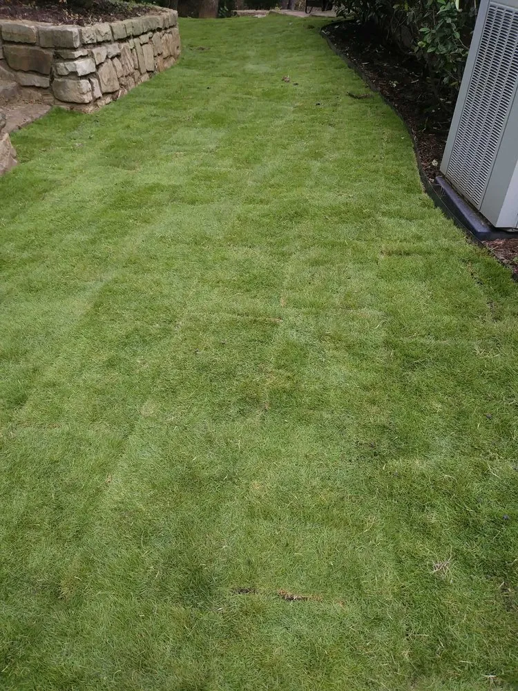 Reliable landscape installation experts serving Lewisville, TX - Sanchez Lawn Service