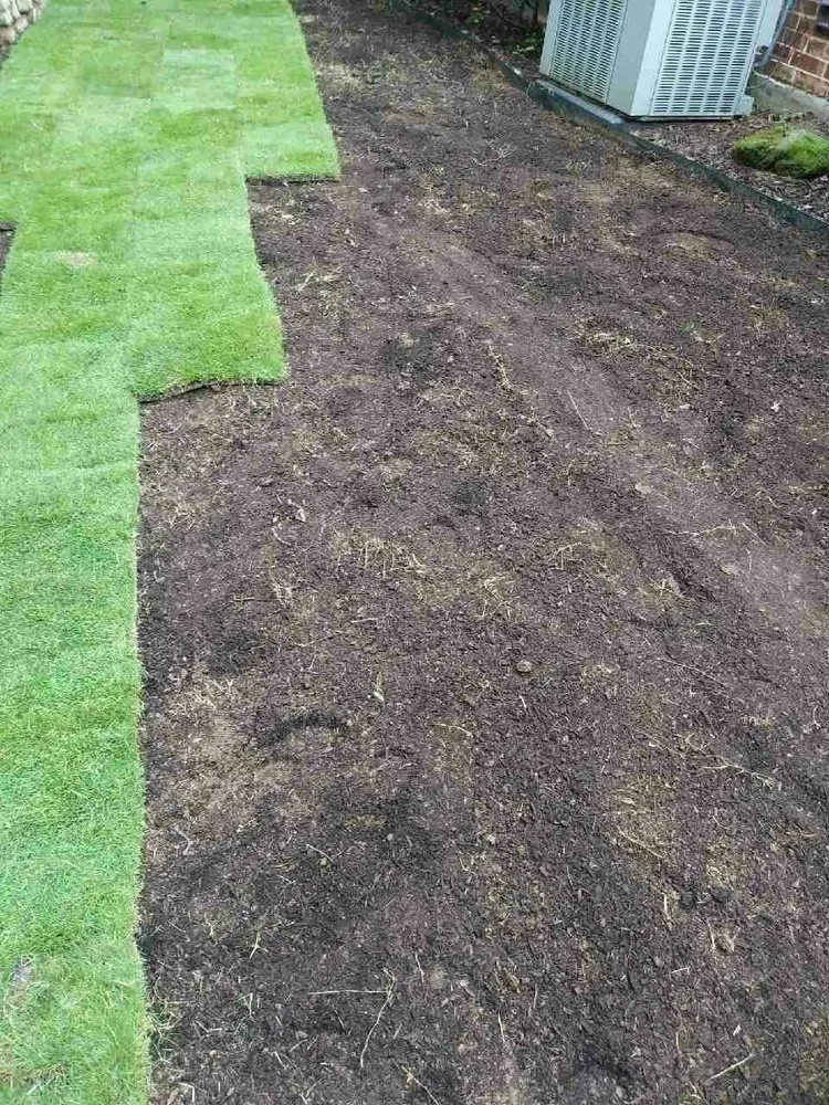 Professional outdoor landscaping in Lewisville, TX by Sanchez Lawn Service