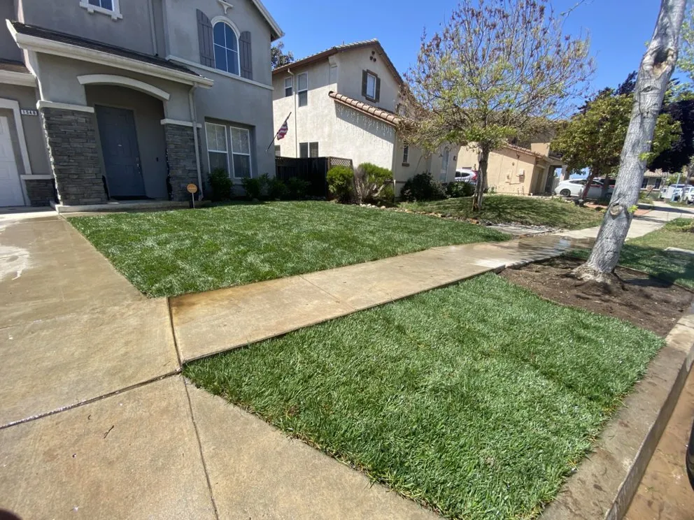 Custom yard cleanup service in Salinas, CA - Sanchez Lawn Service