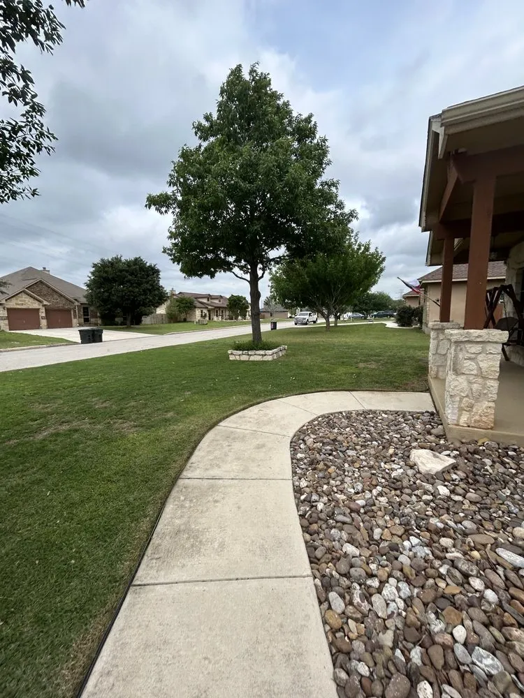 Custom landscape installation in San Antonio, TX by Sanchez Lawn Services