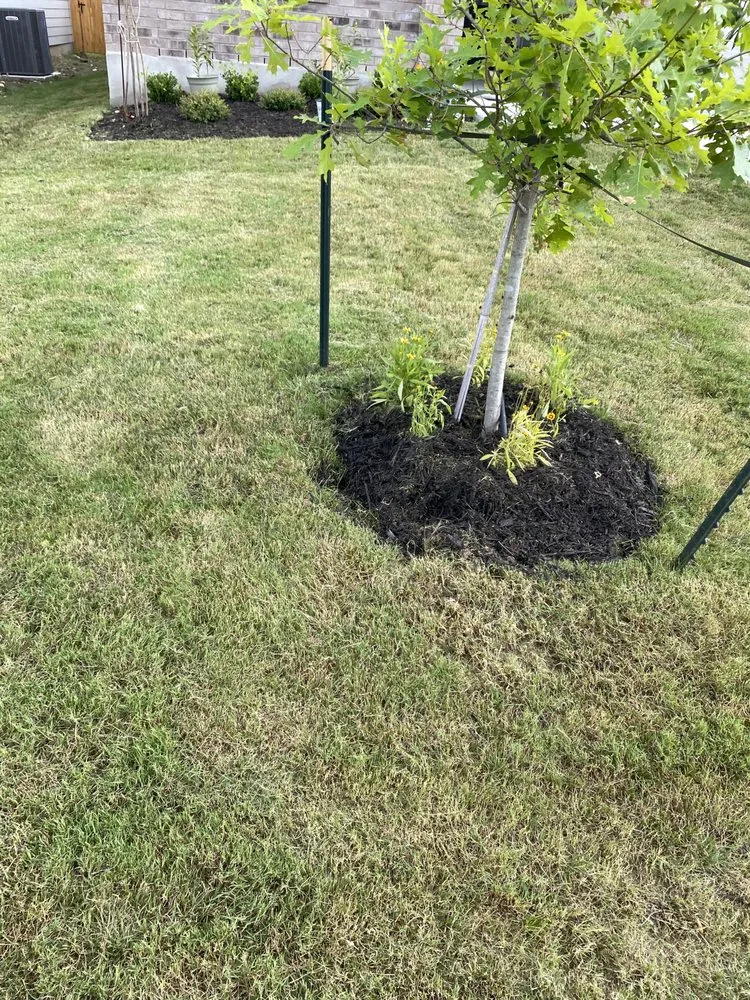 Expert landscape installation for outdoor upgrades across San Antonio, TX - Sanchez Lawn Services