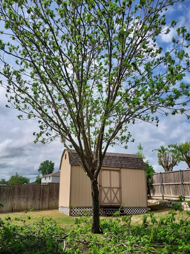 Local outdoor landscaping in Sherman, TX - Sanchez Lawn Services