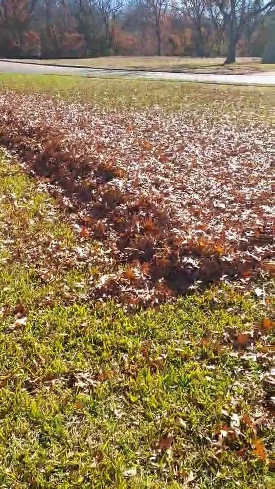 Trusted yard maintenance experts serving Sherman, TX - Sanchez Lawn Services