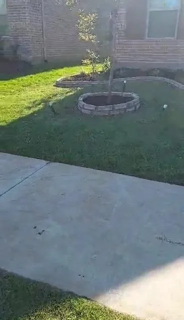 Affordable garden landscaping in Sherman, TX by Sanchez Lawn Services