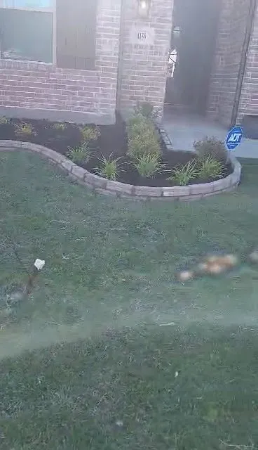 Affordable lawn mowing service for outdoor upgrades across Sherman, TX - Sanchez Lawn Services