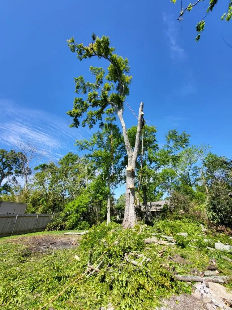 Reliable lawn mowing service for beautiful yards across Chalmette, LA - Sanchez Multiservices