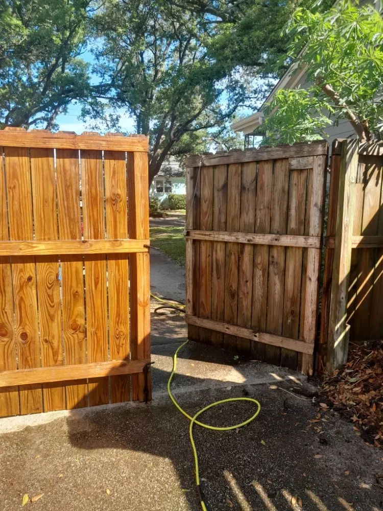 Trusted yard cleanup service in Chalmette, LA - Sanchez Multiservices