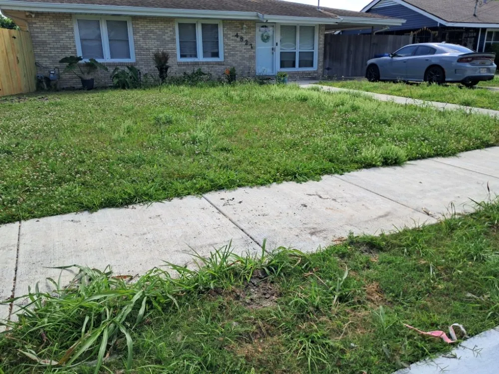 Reliable yard cleanup service in Chalmette, LA - Sanchez Multiservices