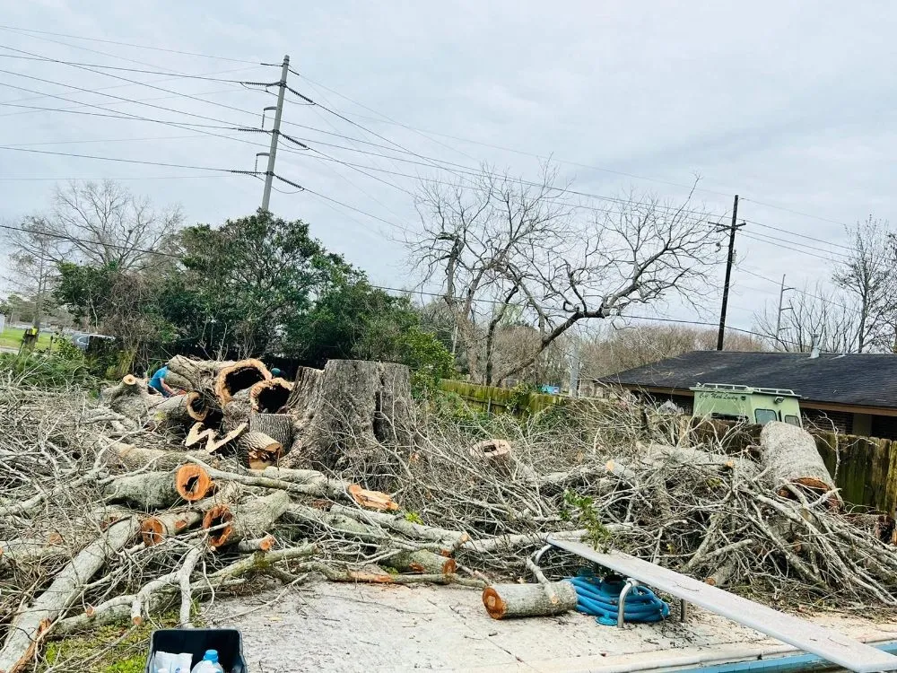 Trusted garden landscaping for homes in Chalmette, LA by Sanchez Multiservices