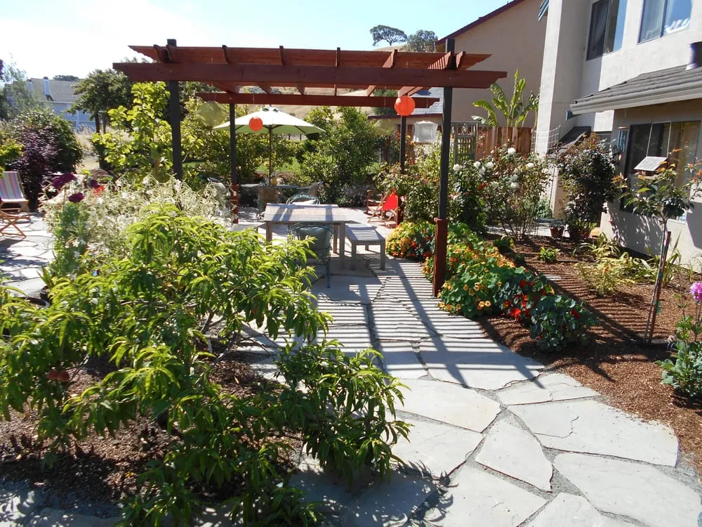 Trusted landscaping services in Pinole, CA by Sanchez