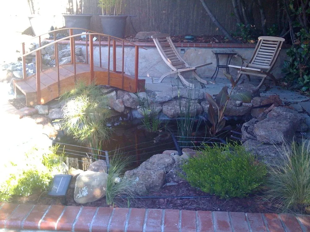 Local yard maintenance in Pinole, CA by Sanchez