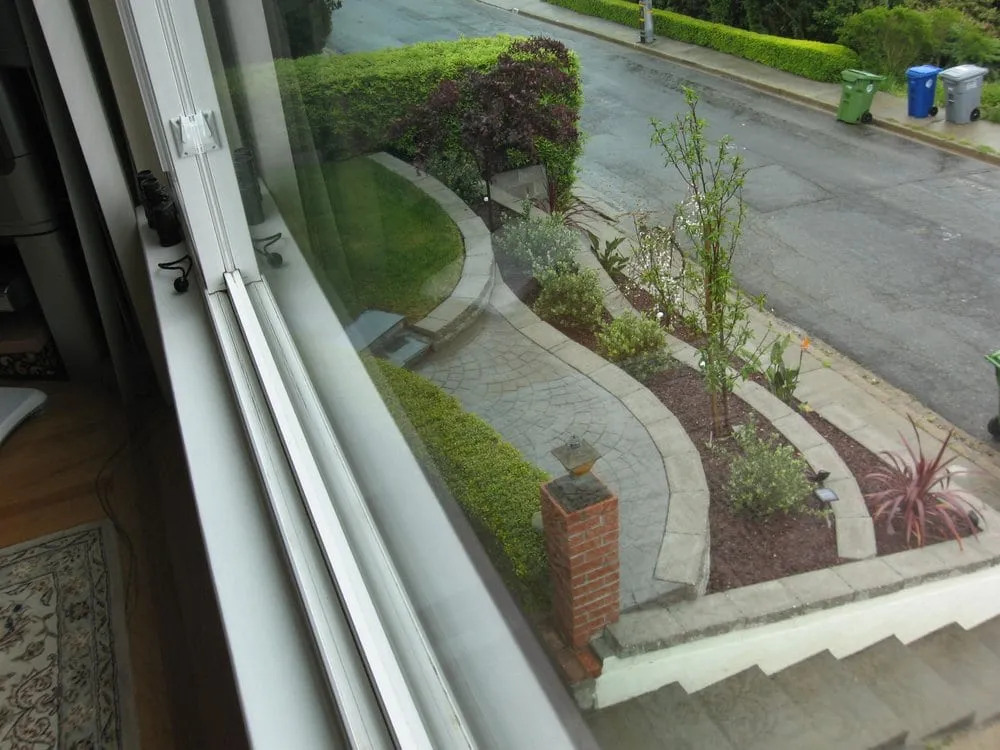 Custom yard cleanup service in Pinole, CA - Sanchez