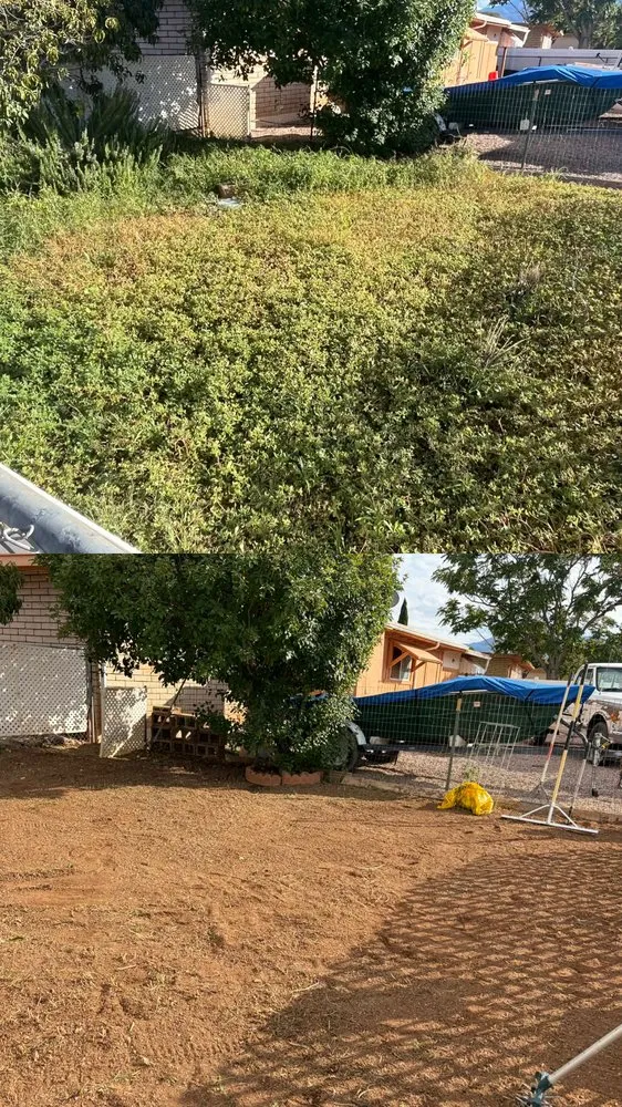 Local outdoor landscaping experts serving Sierra Vista, AZ - Sanchez Property Solutions