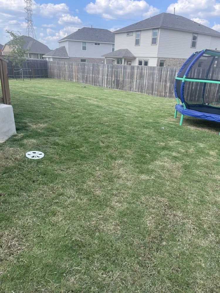 Trusted yard cleanup service with custom design across New Braunfels, TX - Sanchez Roots Lawn Service