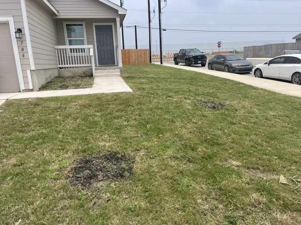 Reliable lawn mowing service for year-round maintenance in New Braunfels, TX by Sanchez Roots Lawn Service