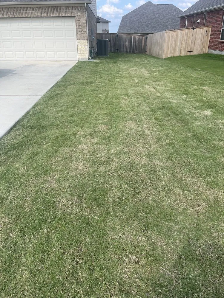 Affordable landscaping services in New Braunfels, TX - Sanchez Roots Lawn Service