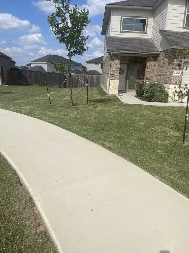 Trusted yard cleanup service for homes in New Braunfels, TX by Sanchez Roots Lawn Service