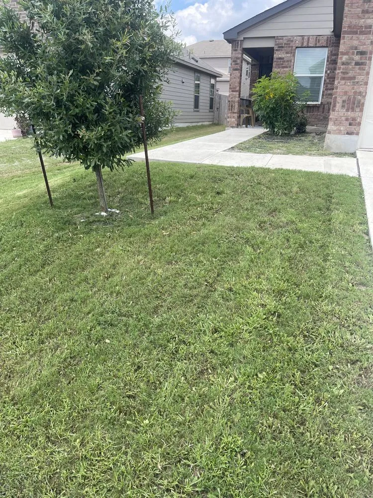 Local lawn mowing service experts serving New Braunfels, TX - Sanchez Roots Lawn Service