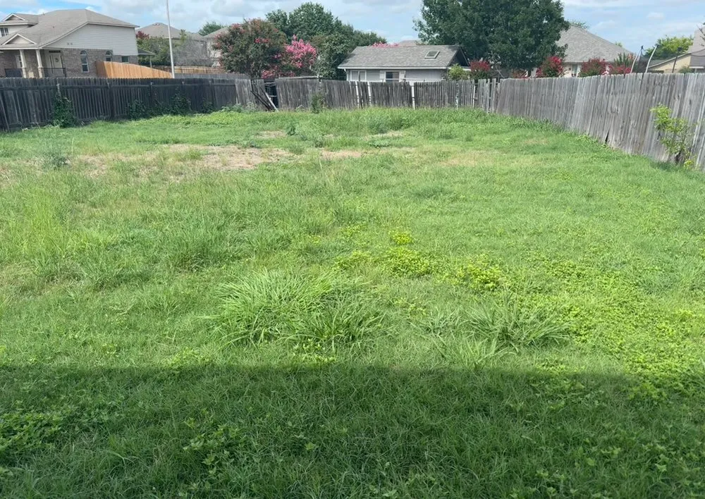 Local landscape design experts serving New Braunfels, TX - Sanchez Roots Lawn Service