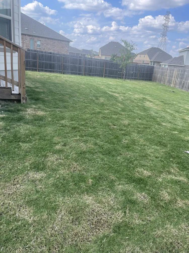 Custom landscape installation for year-round maintenance in New Braunfels, TX by Sanchez Roots Lawn Service