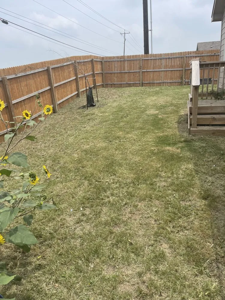 Local landscaping services for beautiful yards across New Braunfels, TX - Sanchez Roots Lawn Service