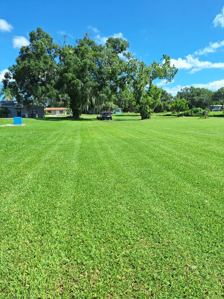 Professional landscape design for homes across Wimauma, FL - Sanchez Scapes