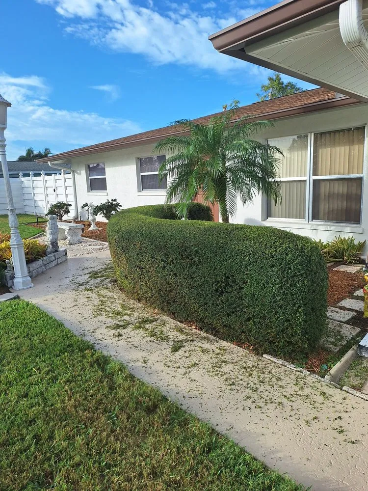 Professional landscape design experts serving Wimauma, FL - Sanchez Scapes