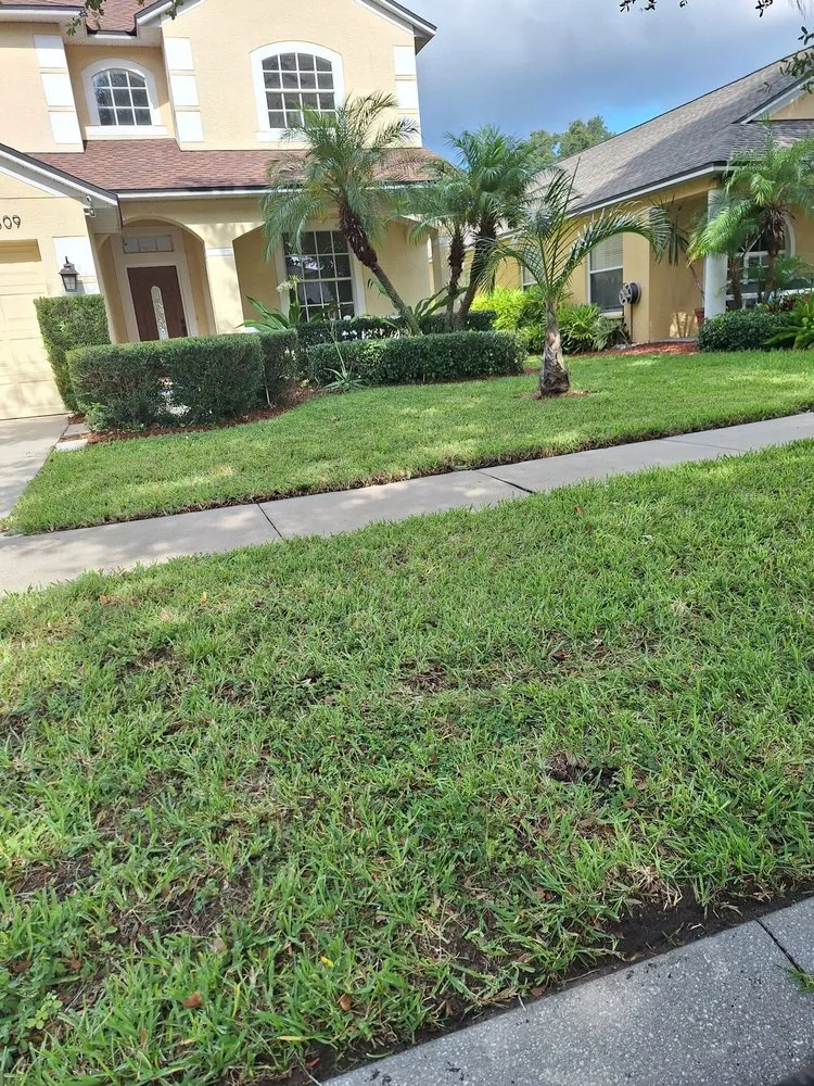 Local garden landscaping experts serving Wimauma, FL - Sanchez Scapes