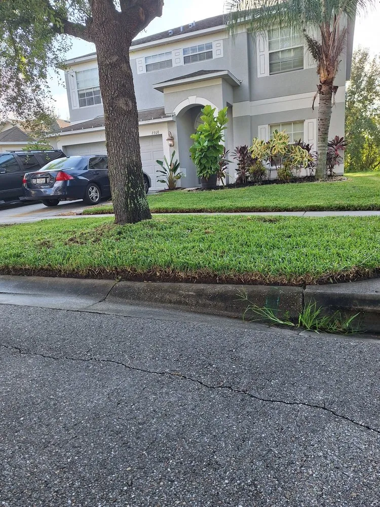 Reliable yard cleanup service with custom design in Wimauma, FL by Sanchez Scapes