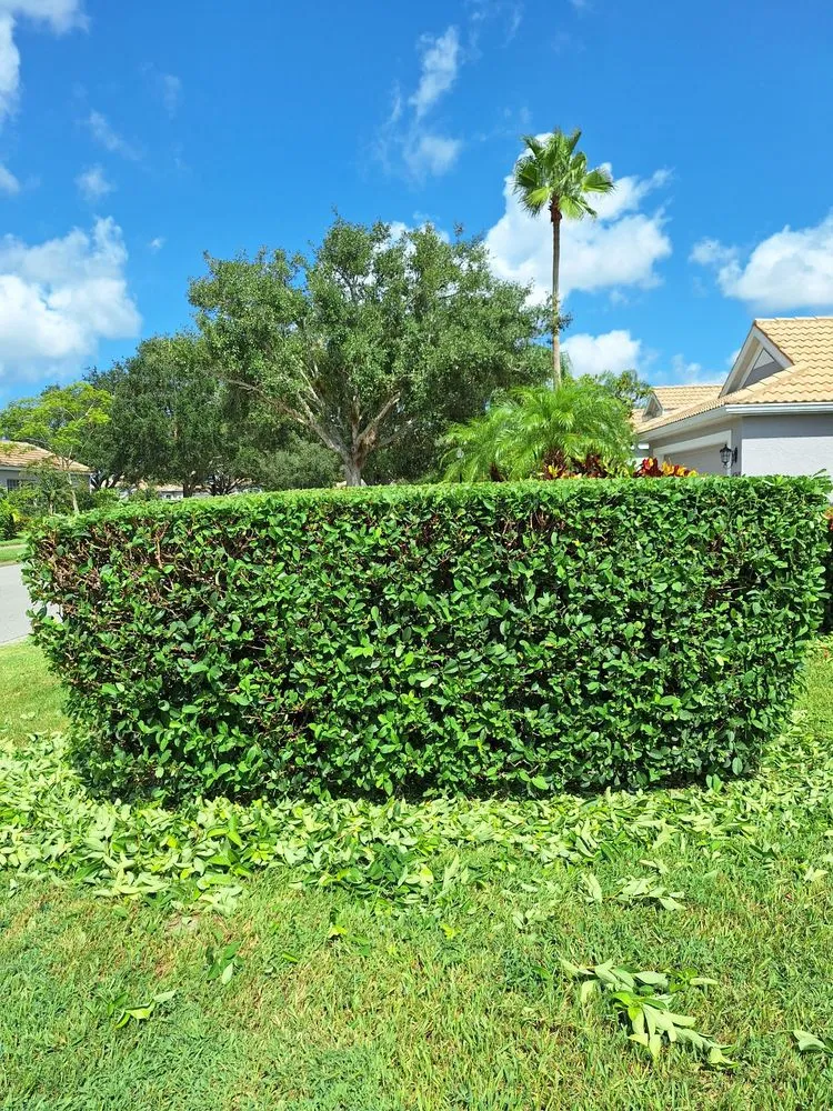 Affordable garden landscaping in Wimauma, FL by Sanchez Scapes