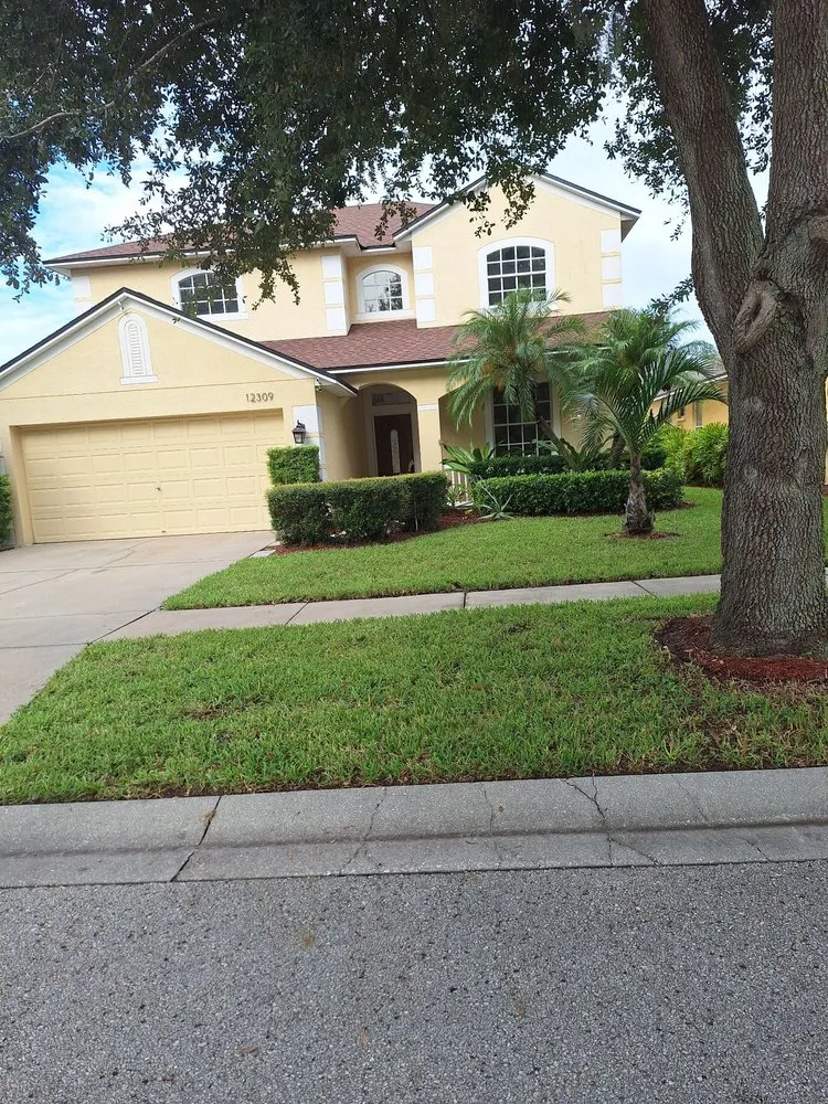 Affordable landscape installation experts serving Wimauma, FL - Sanchez Scapes
