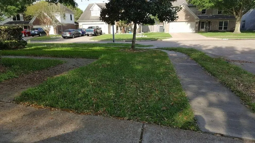 Affordable residential landscaping in Katy, TX by SANCHEZ SERVICE