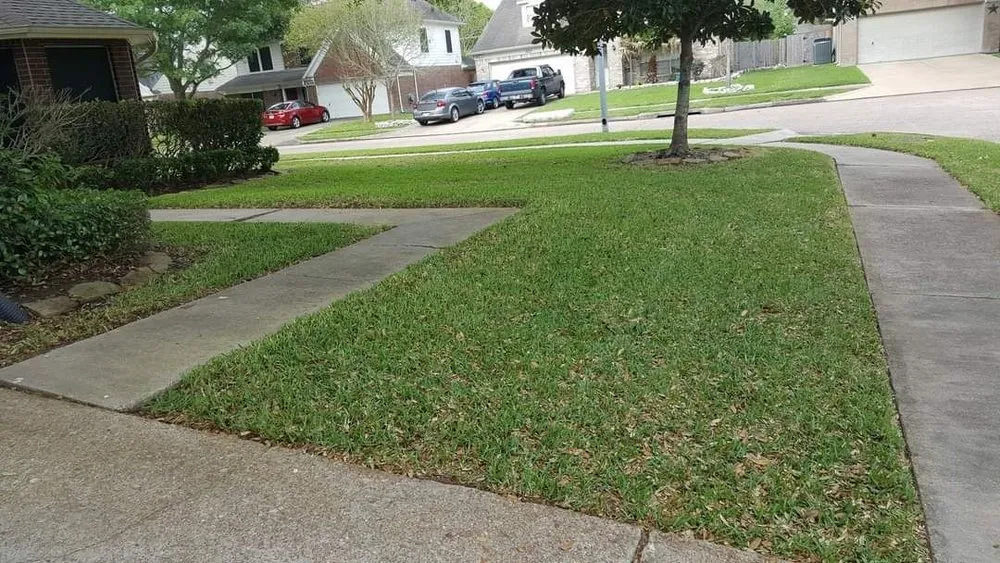 Expert landscape design for homes across Katy, TX - SANCHEZ SERVICE