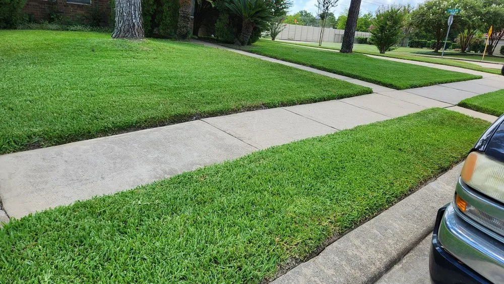 Professional landscaping services in Katy, TX by SANCHEZ SERVICE