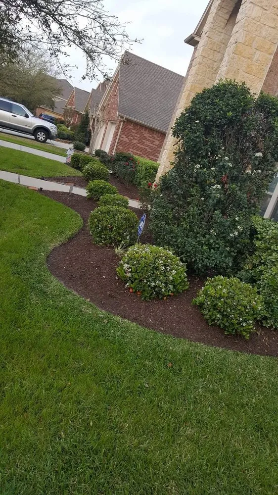 Custom lawn mowing service in Katy, TX by SANCHEZ SERVICE