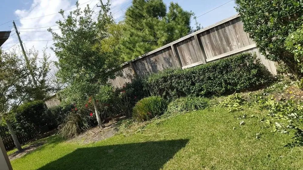 Professional yard maintenance experts serving Katy, TX - SANCHEZ SERVICE