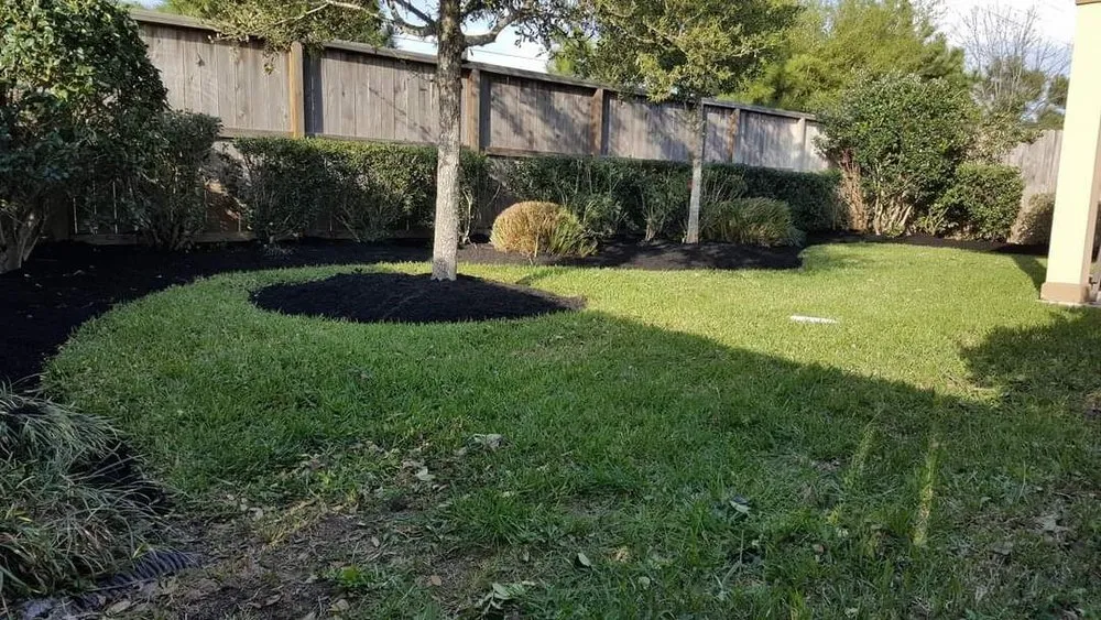 Top-rated landscaping services in Katy, TX by SANCHEZ SERVICE