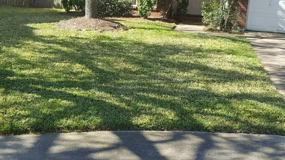 Local landscape installation experts serving Katy, TX - SANCHEZ SERVICE