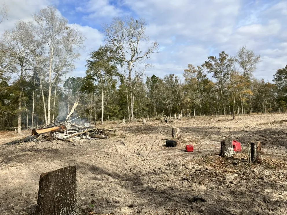 Professional garden landscaping in O'Brien, FL by Sanchez Services