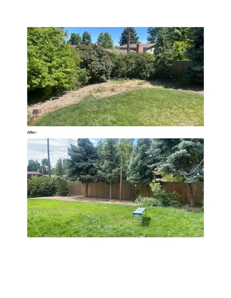 Custom landscape installation in Lakewood, CO - Sanchez Servicing 303
