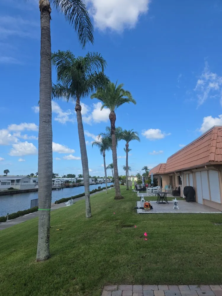 Expert lawn care service in Largo, FL - Sanchez Tree Service