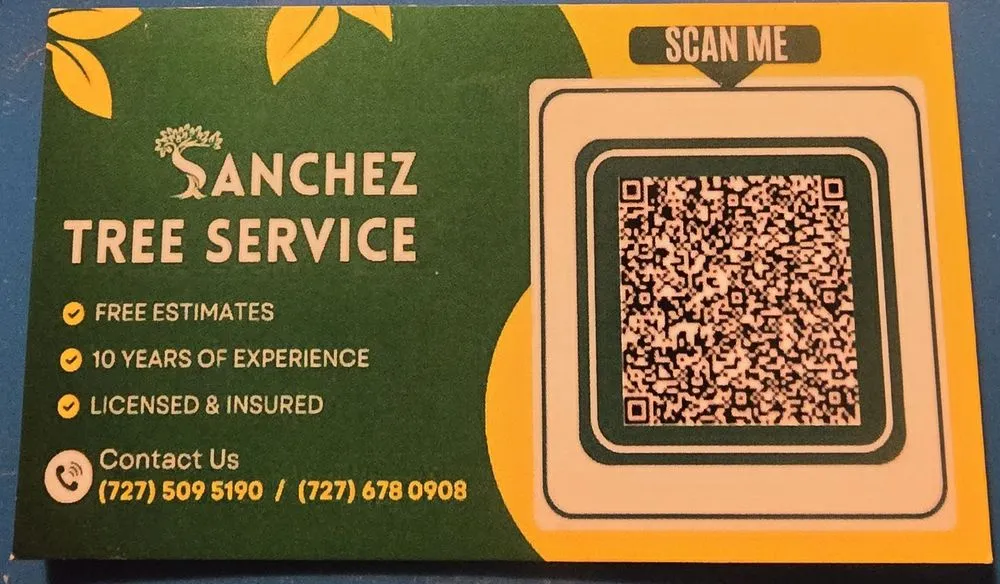 Local landscape installation with custom design across Largo, FL - Sanchez Tree Service