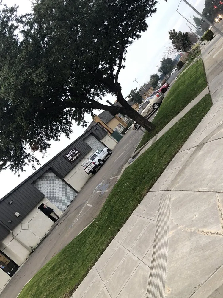 Custom landscape design near you in Caruthers, CA by Sanchez yard maintenance