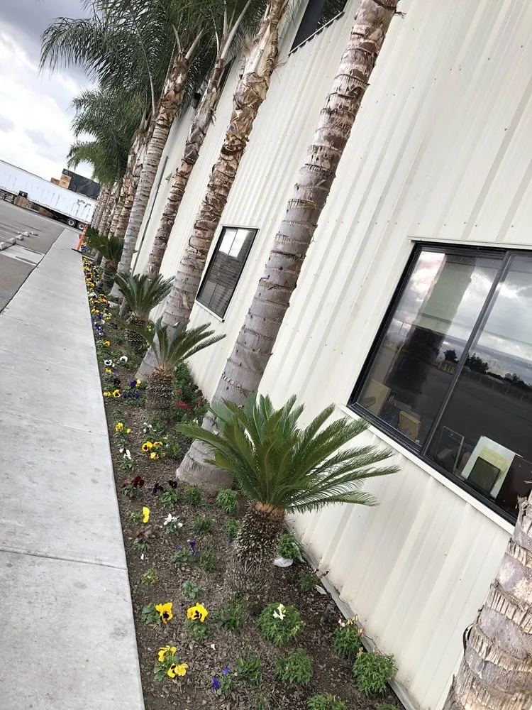 Reliable lawn care service in Caruthers, CA - Sanchez yard maintenance