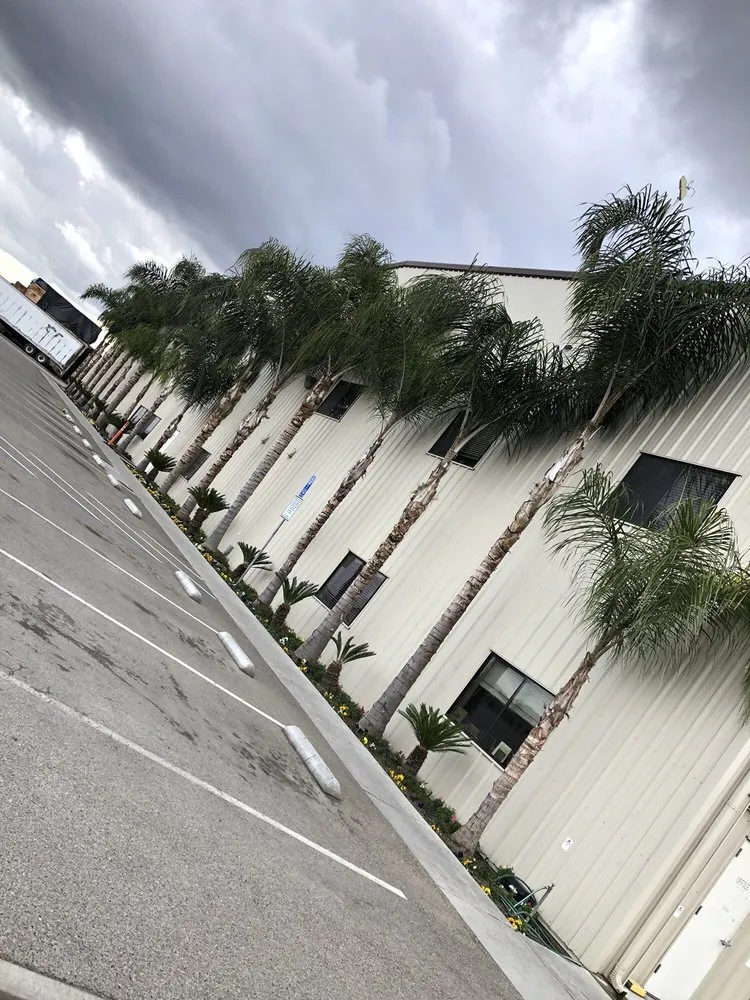 Trusted outdoor landscaping experts serving Caruthers, CA - Sanchez yard maintenance