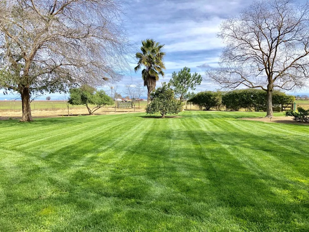 Affordable landscape design in Caruthers, CA by Sanchez yard maintenance
