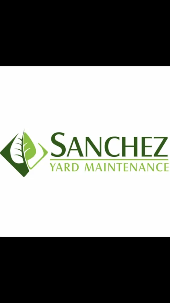 Top-rated yard cleanup service for year-round maintenance in Caruthers, CA by Sanchez yard maintenance